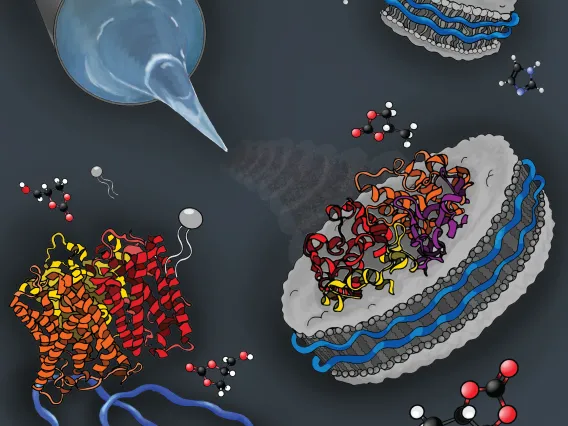 Artistic Rendering of Nanodisc Native MS