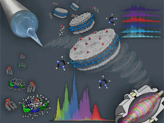 Empty Nanodisc ESI