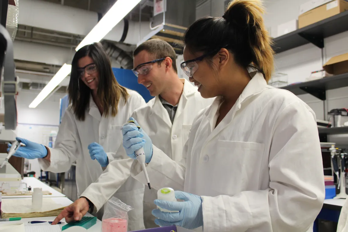 Students working hard in the Marty Lab